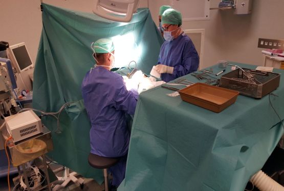Пластическая хирургия в мире или как выбрать клинику (хирурга)
