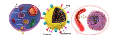 нано медицина лечение рака 