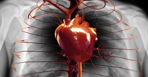 Medifrance Solution | Organisation des soins en France | Cardiologie ✅  Chirurgie cardiologique ou cardiovasculaire